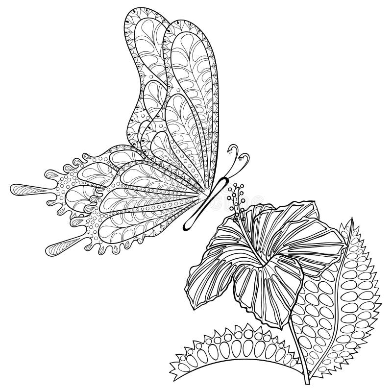 Hand getrokken zentangle stammen vliegende Vlinder en Hibiskus-bloem