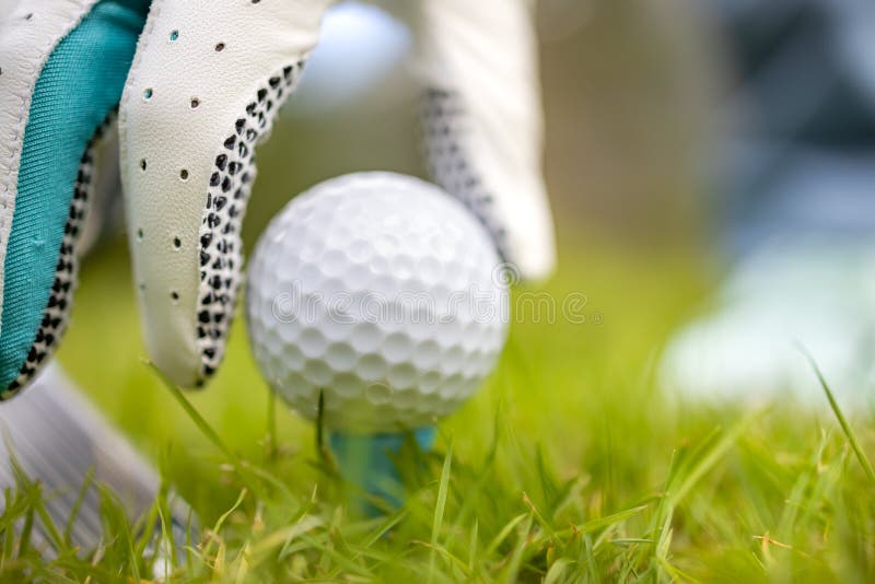 Hand in Glove Placing Golf Ball on Tee Stock Image Image of