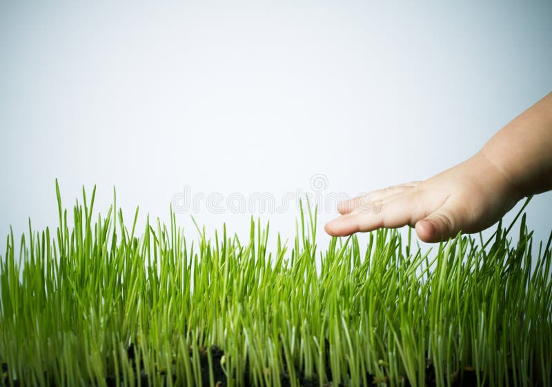 Hand on grass