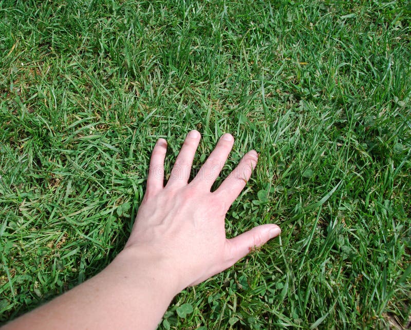 Hand upon the grass stock photo. Image of clear, delight - 4985840