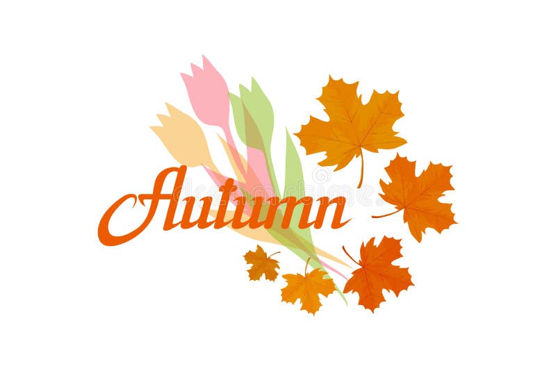 Hand het getrokken de herfst van letters voorzien, gekleurd die de herfstconcept op witte achtergrond, kleurenillustratie wordt g royalty-vrije illustratie Hand het getrokken de herfst van letters voorzien, gekleurd die de herfstconcept op witte achtergrond, kleurenillustratie wordt g royalty-vrije illustratie