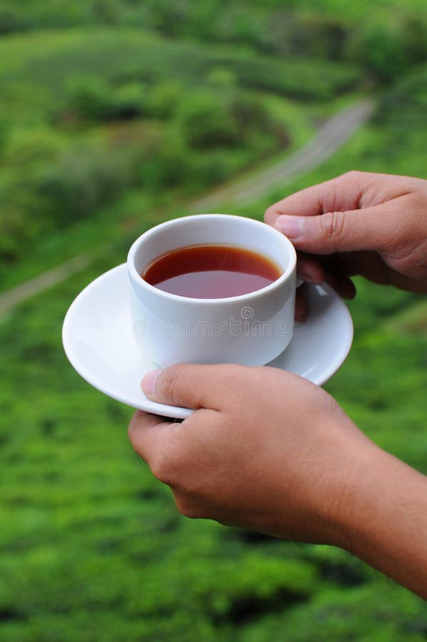 Hand Hold A Cup Of Tea