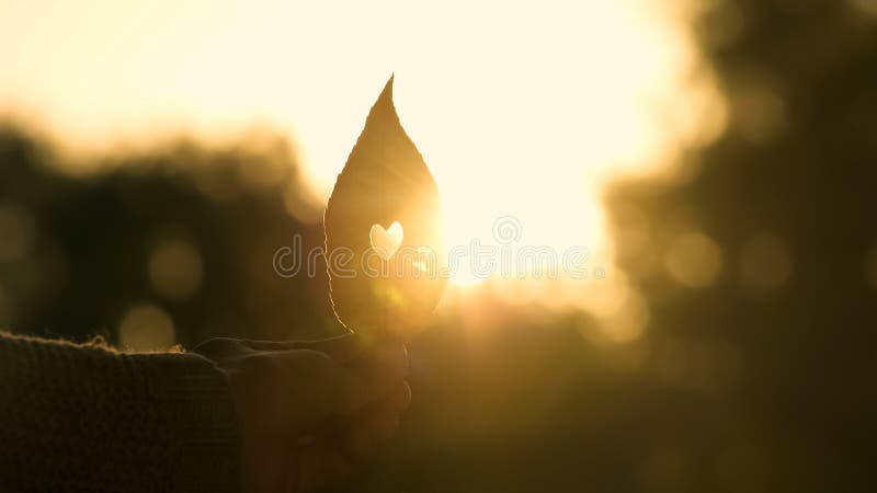 Hand holding autumn leaf with heart inside, beautiful golden fall season, love