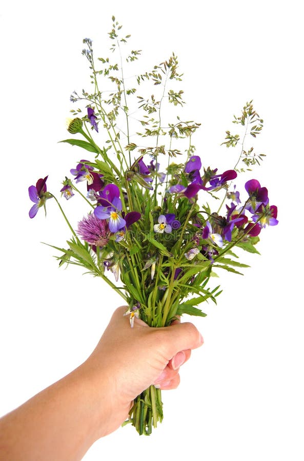 Hand Holding Bouquet of Flowers Stock Photo Image of grass, hold 14948952