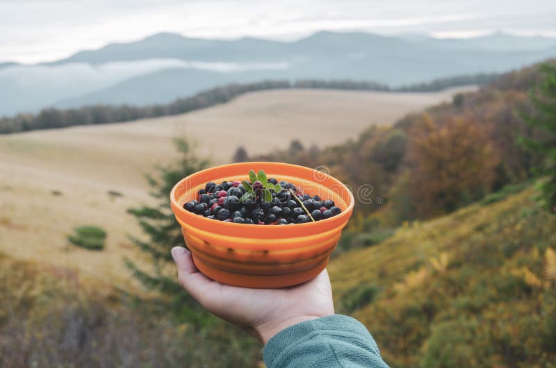 Hand holding the bowl with wildberries