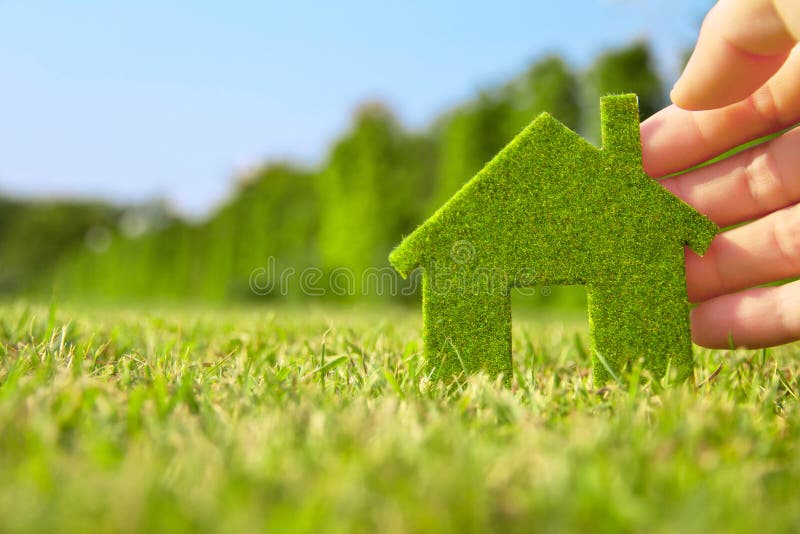 Hand holding eco house icon