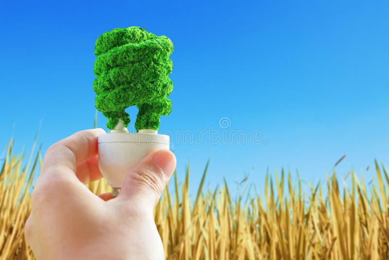 Hand holding eco light bulb on dry hay background