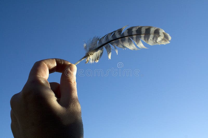 Hand holding feather stock photo. Image of hold, blue 13367828