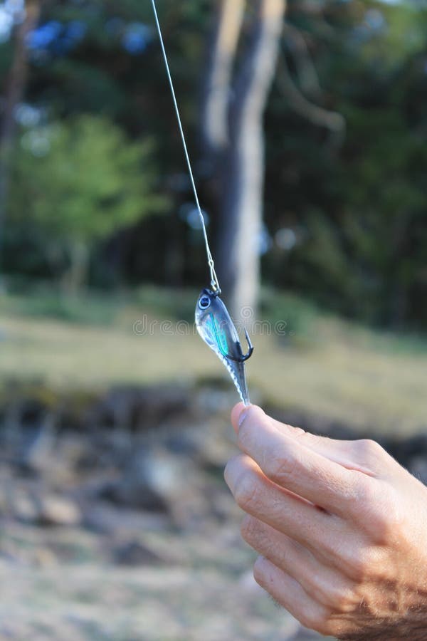 Hand holding a fish hook stock photo. Image of action 159108502