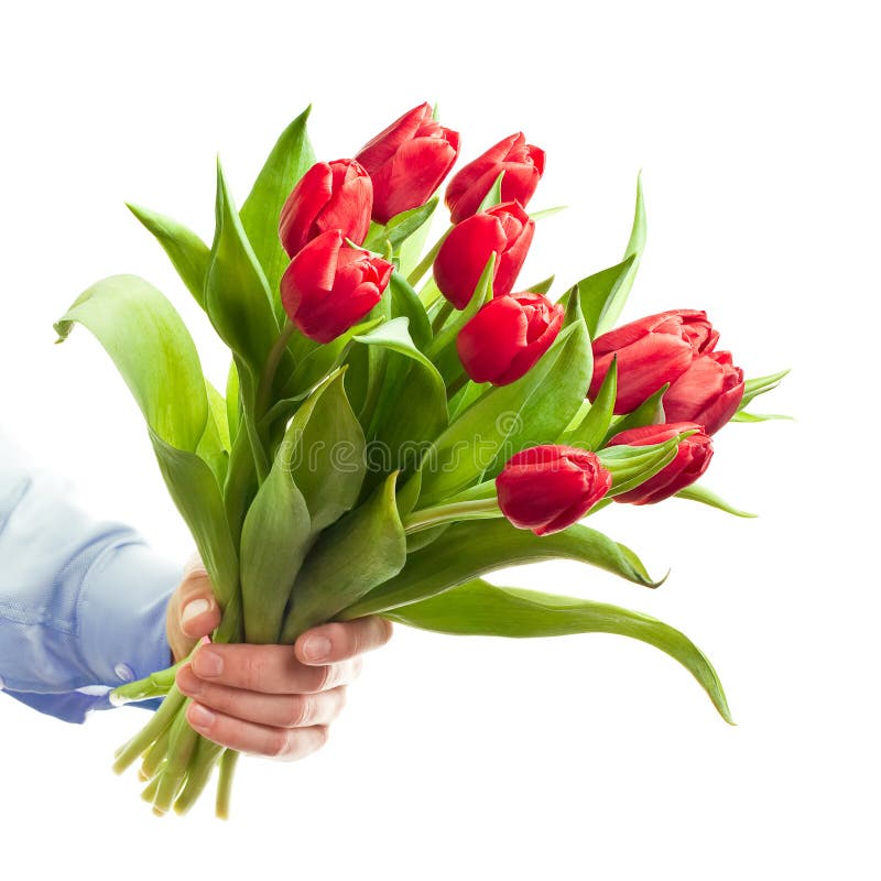 Hand holding flowers