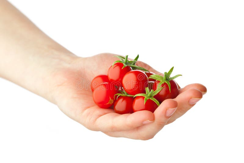 Hand holding fresh cherry tomatoes