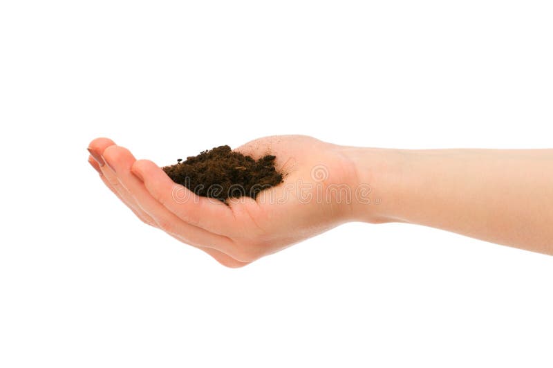 Hand Holding Handful of Soil Stock Image Image of dirt, palm 9754017