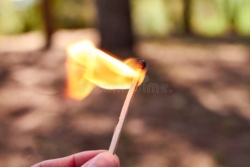 Hand holding a match on fire in the forest