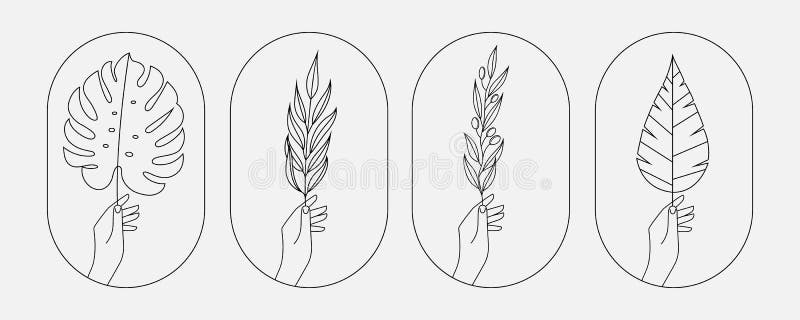 Hand holding palm, monstera leaf, olive branch and other plant icons