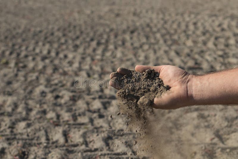 Hand Holding a Pile of Soil Above the Ground. Stock Photo Image of hold, dark 78043160
