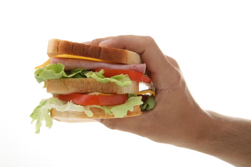 Hand holding sandwich.