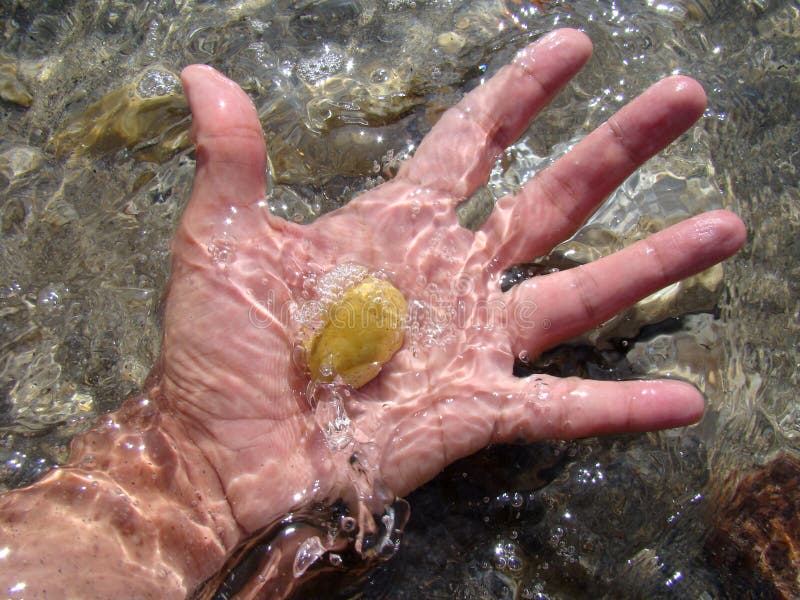 Hand holding sea stone