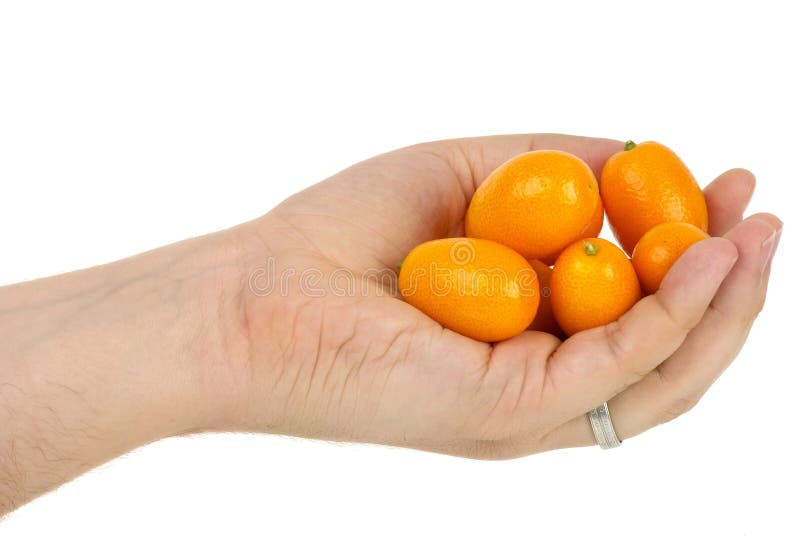 Hand holding some kumquat fruits