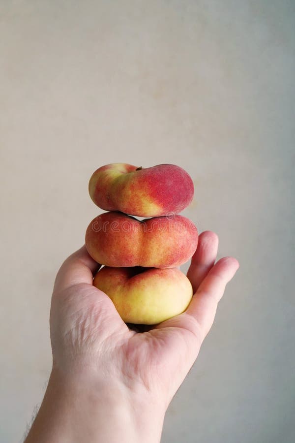 Hand holding stack of flat peaches royalty free stock photo