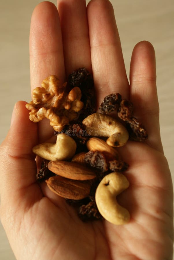 A hand holding a wide variety of nuts, raisins, cashew nut and seeds. A hand holding a wide variety of nuts, raisins, cashew nut and seeds.