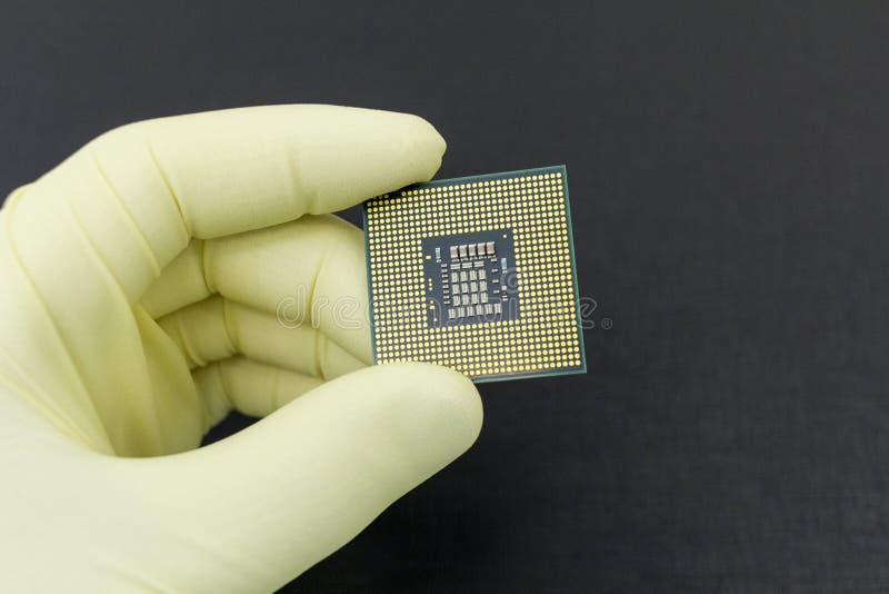 Hand i den åtsittande gula handsken som rymmer en mikrochips för CPU-datorprocessor royaltyfria bilder