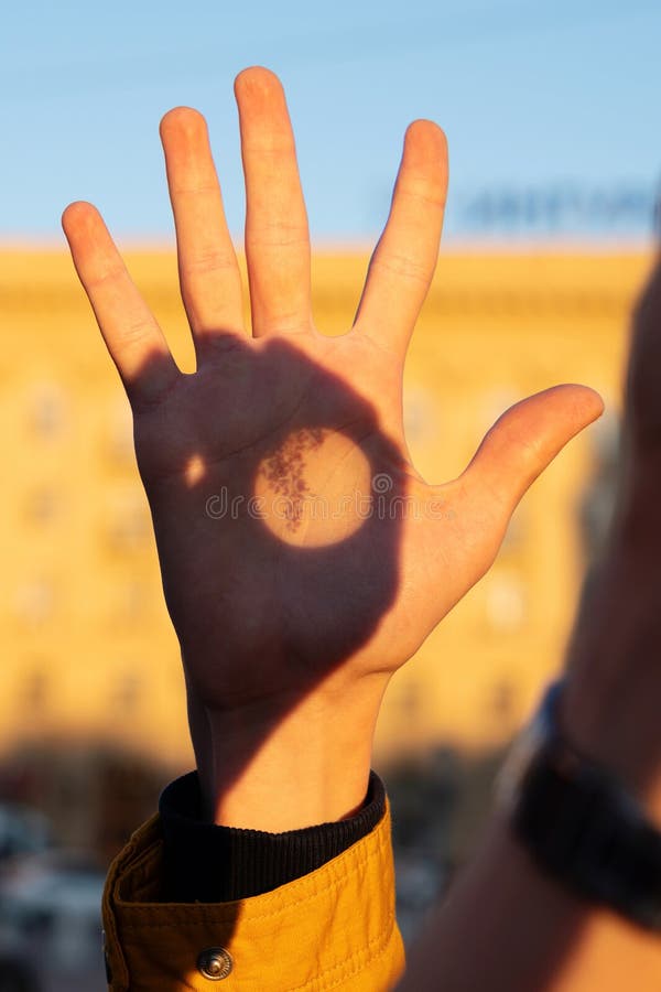 Hand illuminated by sunset with botanical shadow projection royalty free stock images