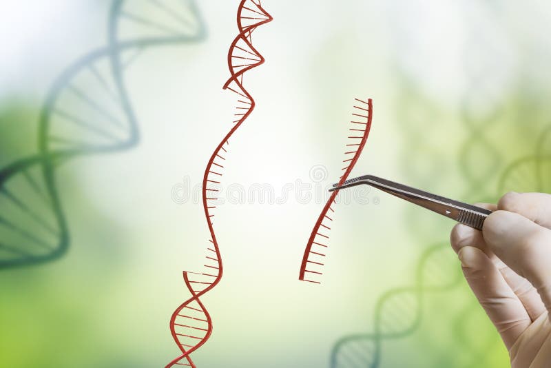 Hand is inserting sequence of DNA. Genetic engineering, GMO and Gene manipulation concept