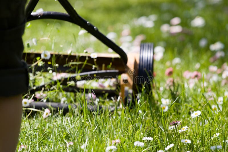 Hand lawn mower stock image
