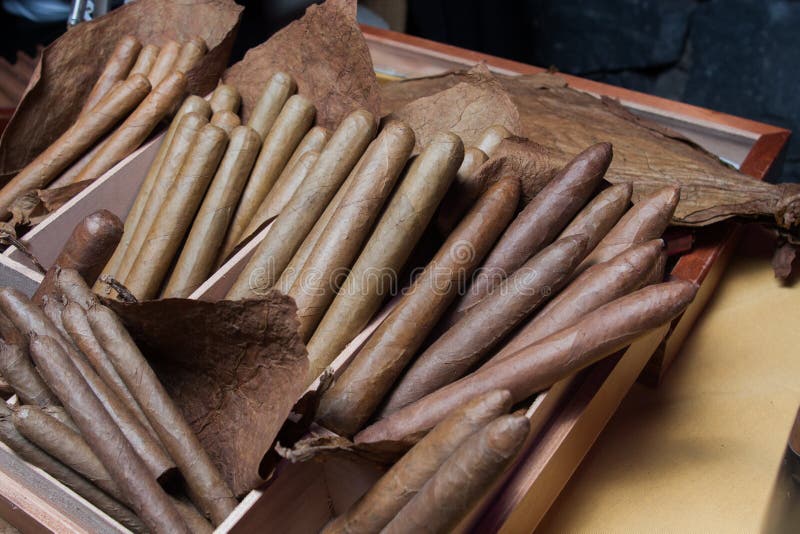 Hand made cigars parejos
