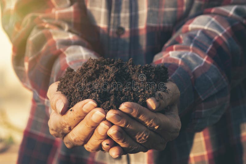 Hand of Male Holding Soil in the Hands for Planting Stock Image Image of environmental