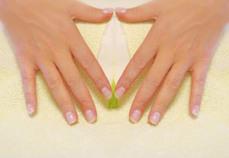 Hand Manicure Picture. Image 5272168