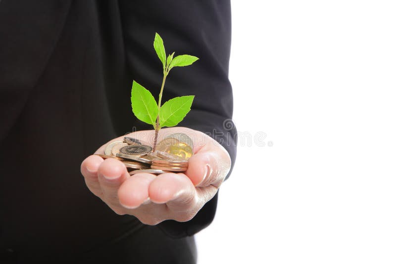 Hand met groene installatie het groeien van geld stock afbeeldingen Hand met groene installatie het groeien van geld stock afbeeldingen