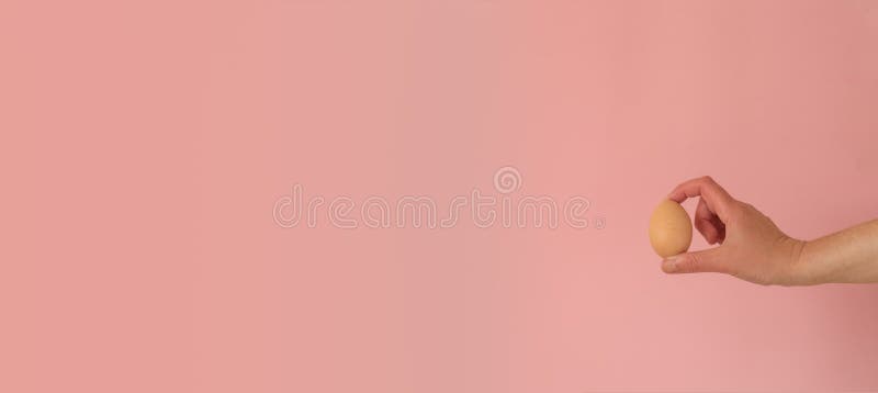 Hand mit braunem Ei auf Rosa mit Kopienraum lizenzfreie stockfotos Hand mit braunem Ei auf Rosa mit Kopienraum lizenzfreie stockfotos