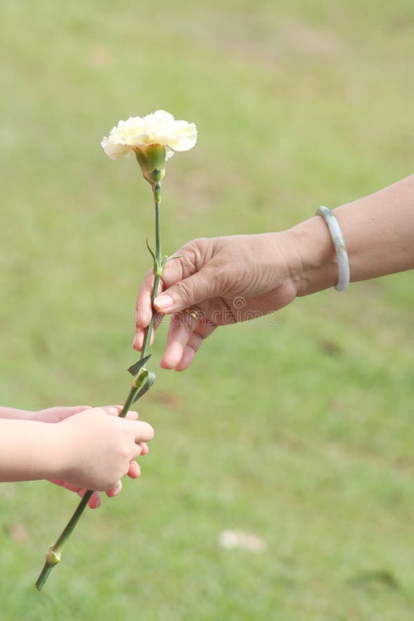 Hand of mum & girl holding flower