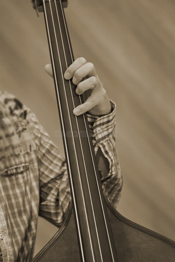 The Hand of the Musician Playing the Double Bass Stock Photo Image of