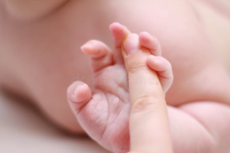 Newborn baby's foot - Stock Image - M815/0425 - Science Photo Library