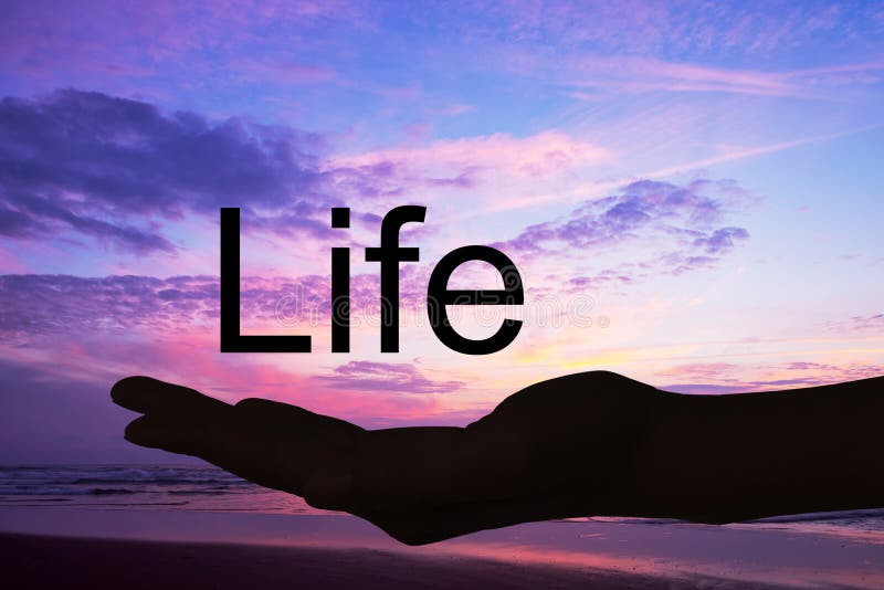Zen word ответы. Слово Life. Life Word. Слова про жизнь. Zen Word.
