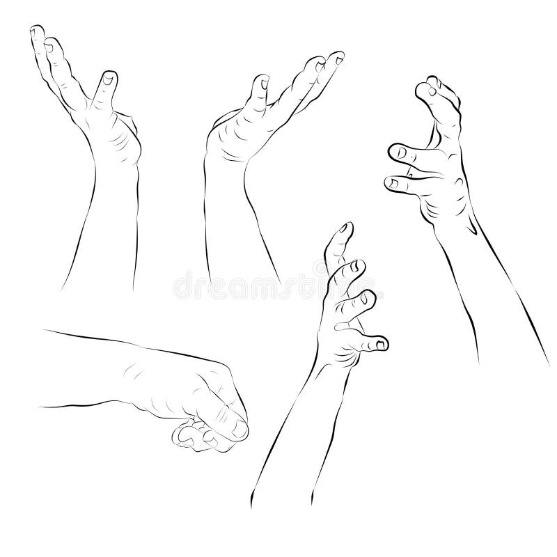 Hand Outline Collection. Drawn Images of Hands. Contour Human Palms,  Wrists, Gestures on a White Background Stock Illustration - Illustration of  holding, force: 161657457