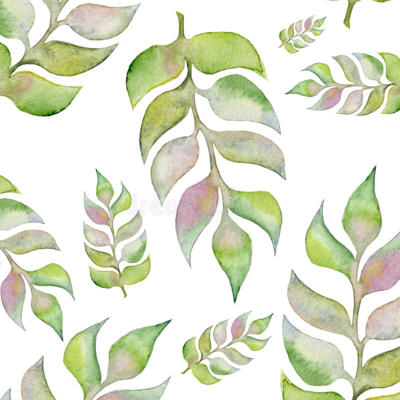 Hand painted water color plants. Isolated floral design elements