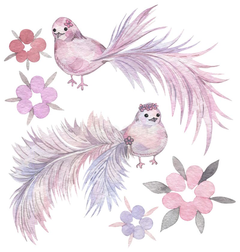 Cartoon birds with frosty tails and flowers. Hand drawn watercolor set. stock illustration Cartoon birds with frosty tails and flowers. Hand drawn watercolor set. stock illustration