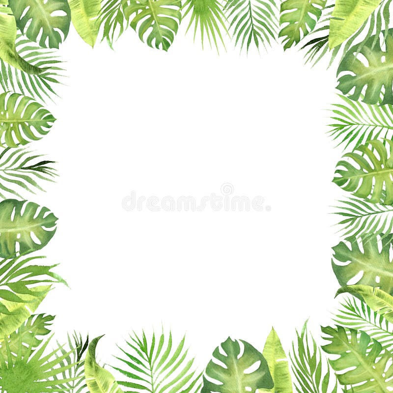 Watercolor Border Frame Green Tropical Leaves. Monstera, Palm Tree ...