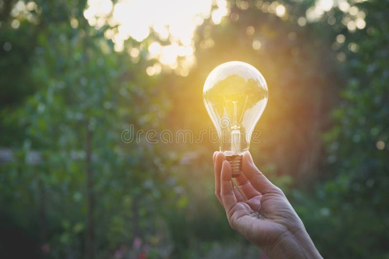 Hand of person holding light bulb for Idea and creativity