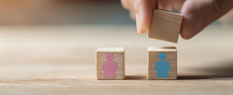The hand placing the wooden block in a gender representation display.. image royalty free stock image.