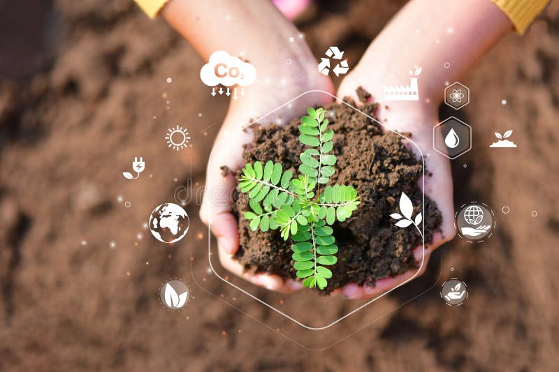 Hand planting trees with technology of renewable resources royalty free stock images