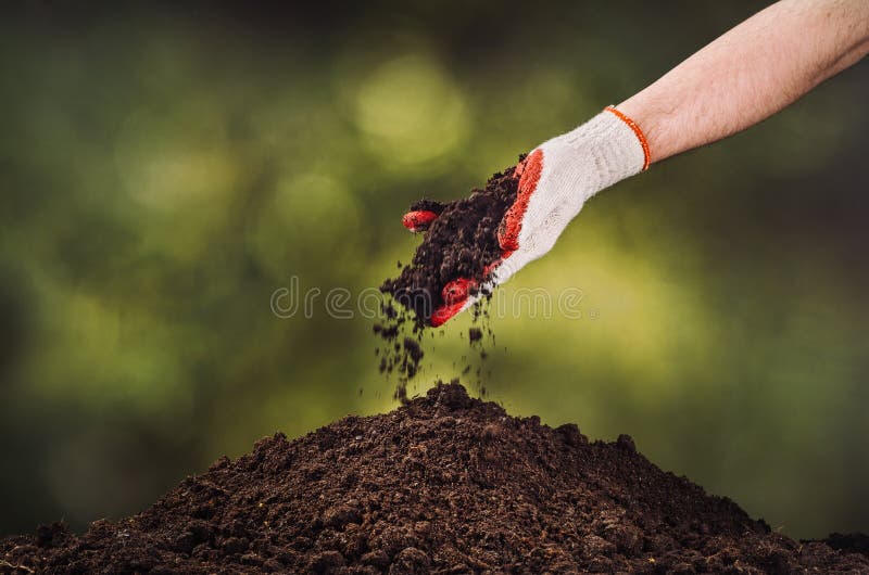 Hand pouring black soil on green plant bokeh background