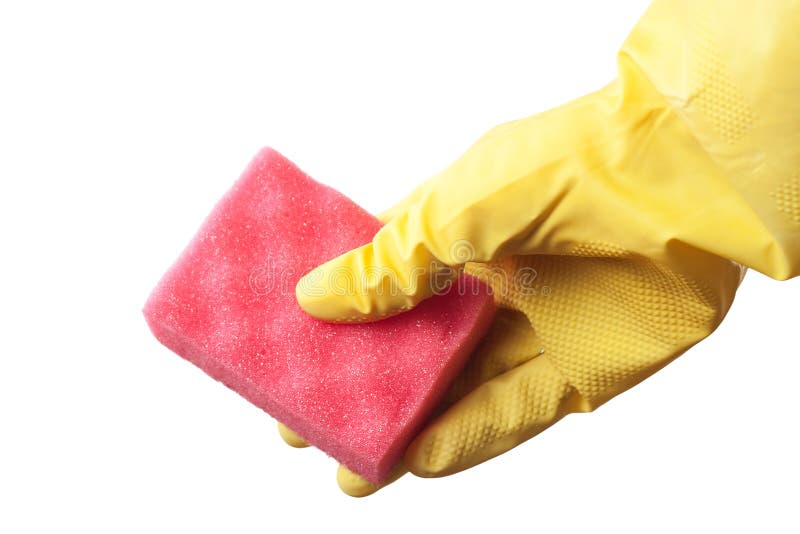 Hand in Protective Glove Holding Red Sponge Stock Image Image of