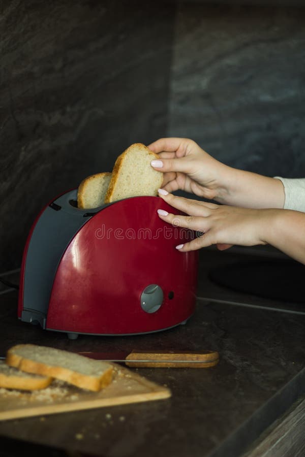 Woman Makes Toasts for Breakfast Stock Image Image of insert, counter 101880829