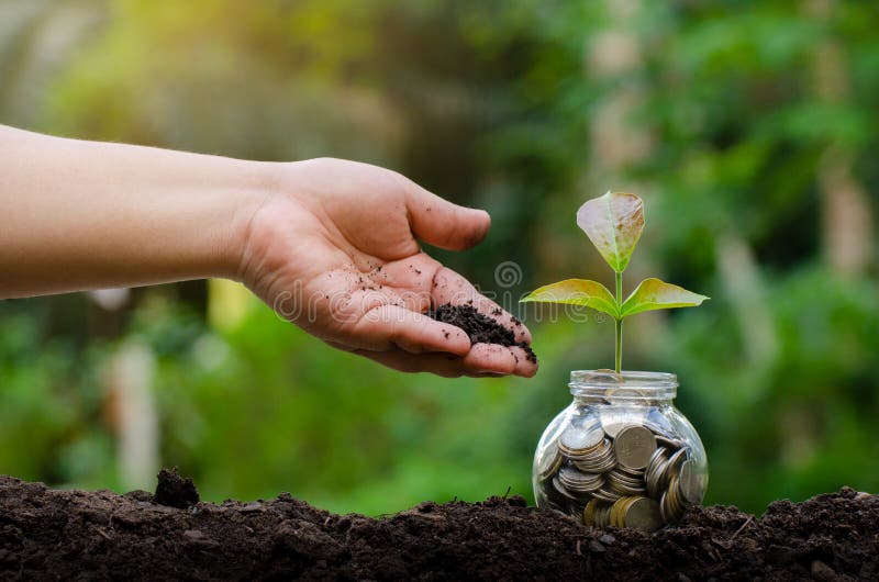 Hand Put money Bottle Banknotes tree Image of bank note with plant growing on top for business green natural background money stock images Hand Put money Bottle Banknotes tree Image of bank note with plant growing on top for business green natural background money stock images