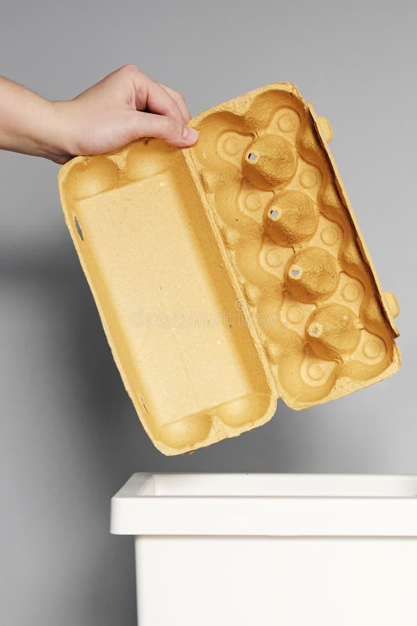Hand Puts Empty Egg Box in the Bin for Recycling Stock Image Image of