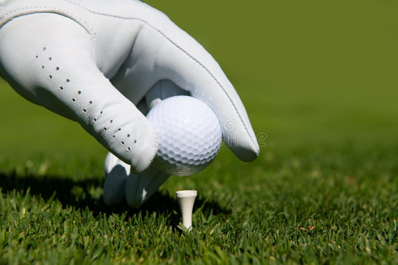 Hand Putting Golf Ball on Tee in Golf Course. Golf Ball in Grass. Stock